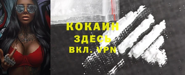 гашик Каменка