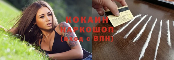 гашик Каменка