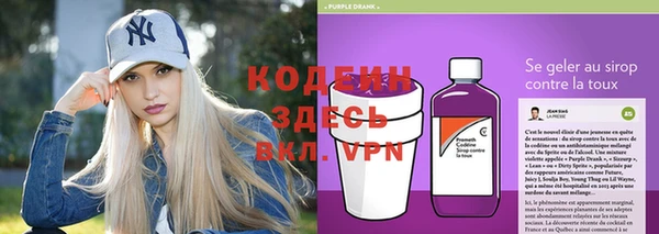 мяу мяу мука Инсар