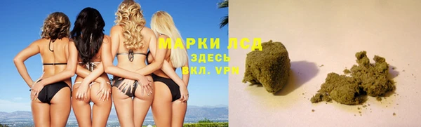 гашик Каменка