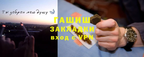 гашик Каменка
