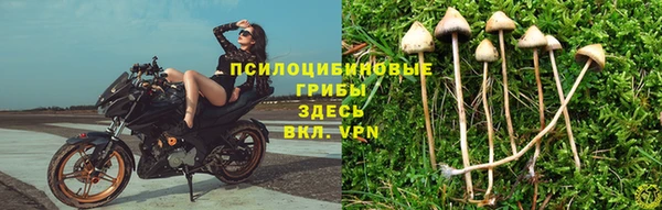 гашик Каменка
