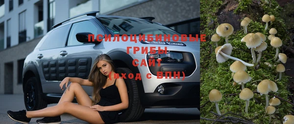 гашик Каменка