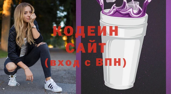 гашик Каменка