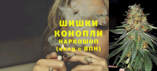 гашик Каменка