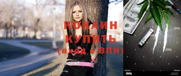 гашик Каменка