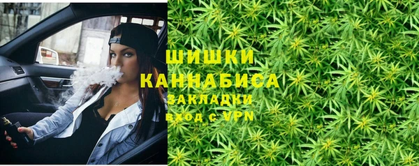 мяу мяу мука Инсар
