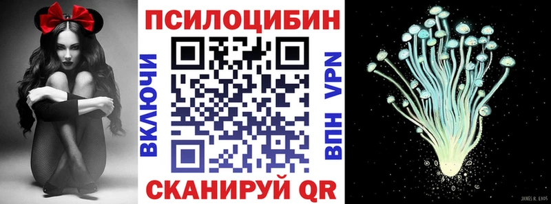 Псилоцибиновые грибы Magic Shrooms  Купить закладки  Дорогобуж 
